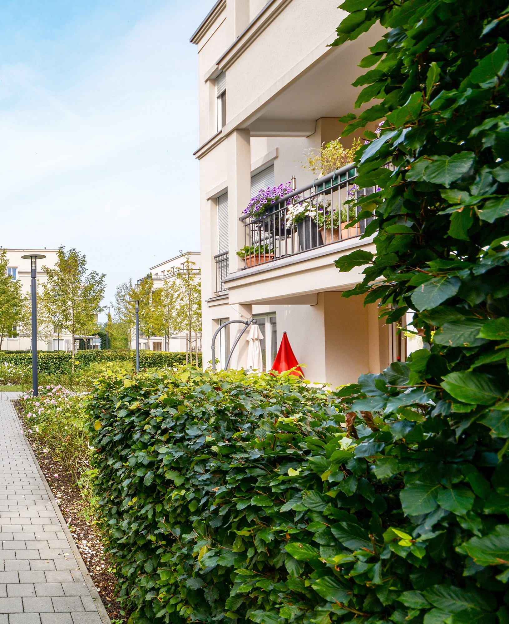 shutterstock_1181977636