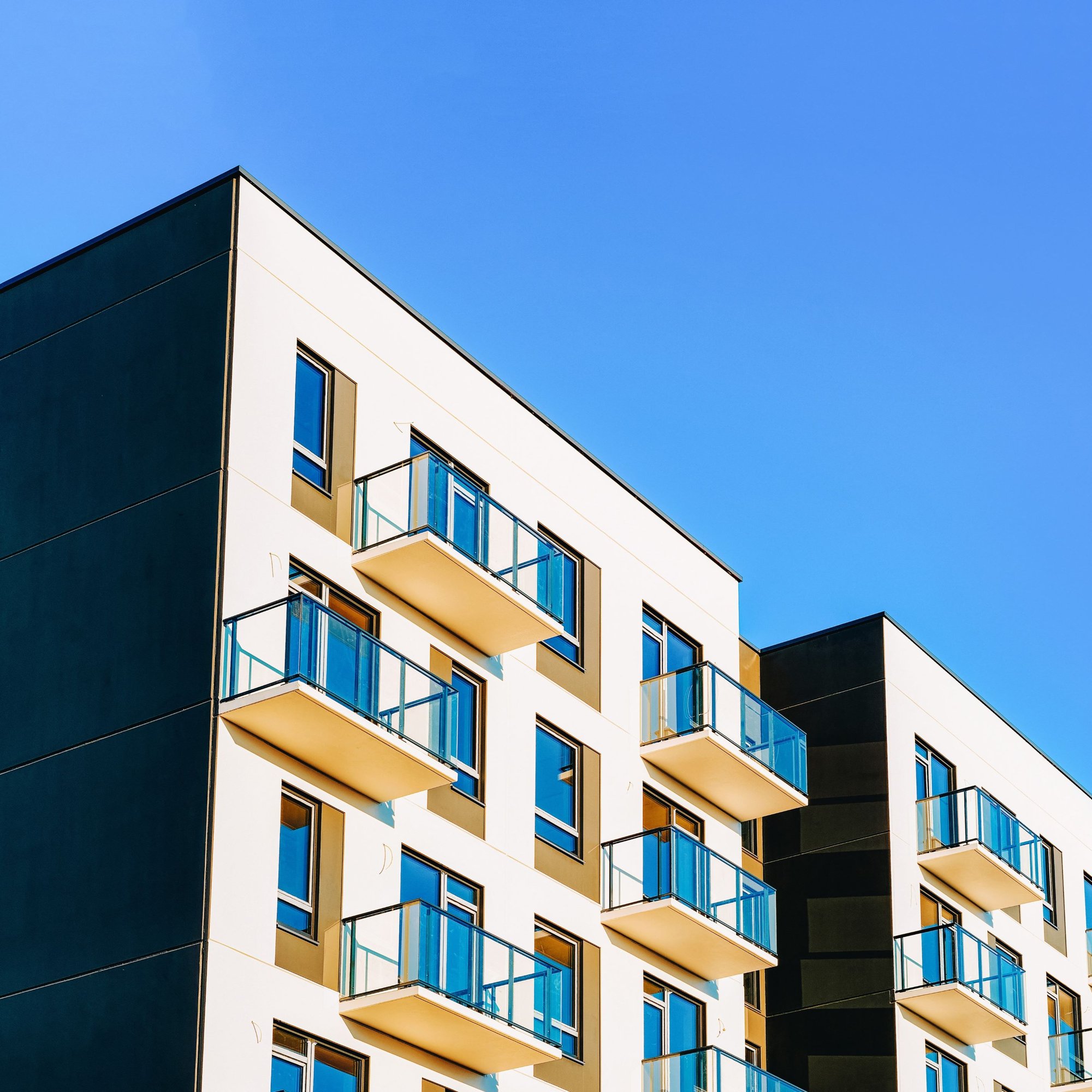 shutterstock_1544096003-1 shutterstock_1544096003-1