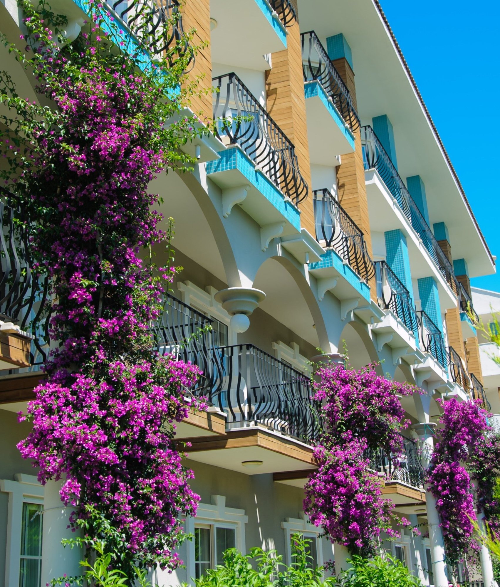 shutterstock_772243465-3 shutterstock_772243465-3